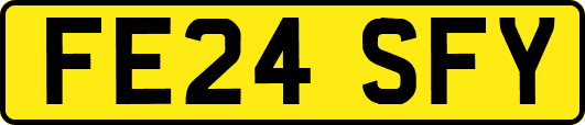 FE24SFY