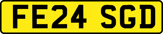 FE24SGD