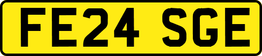 FE24SGE