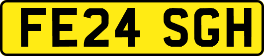 FE24SGH