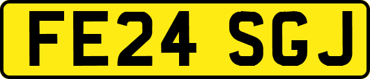 FE24SGJ