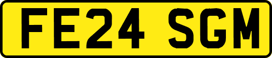 FE24SGM
