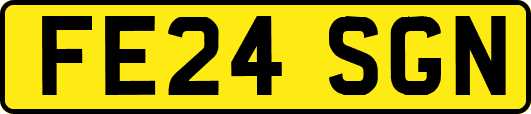 FE24SGN