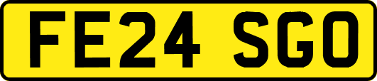 FE24SGO