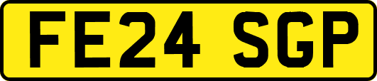 FE24SGP
