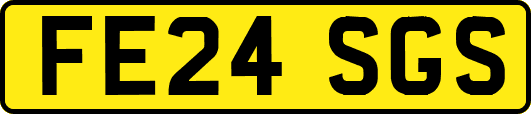 FE24SGS