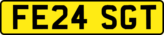 FE24SGT