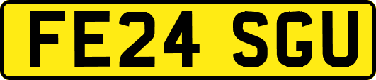 FE24SGU