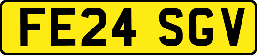 FE24SGV