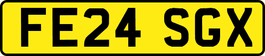 FE24SGX
