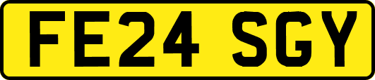 FE24SGY