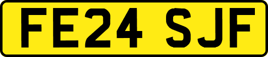 FE24SJF