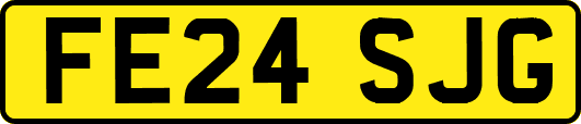 FE24SJG