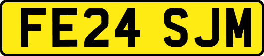 FE24SJM