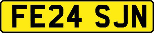FE24SJN