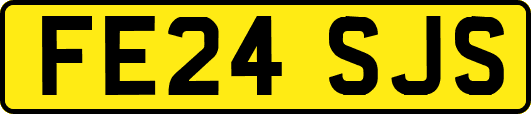 FE24SJS