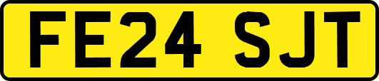 FE24SJT