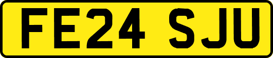 FE24SJU