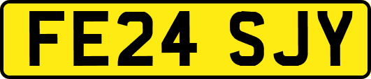 FE24SJY