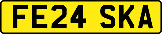 FE24SKA
