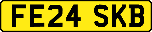 FE24SKB