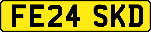FE24SKD