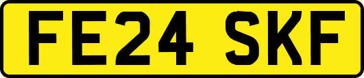 FE24SKF