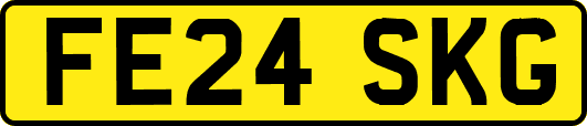 FE24SKG