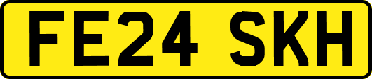 FE24SKH