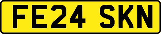 FE24SKN
