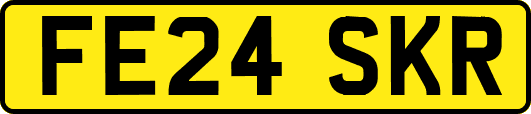 FE24SKR