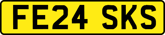 FE24SKS