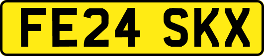 FE24SKX