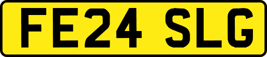 FE24SLG