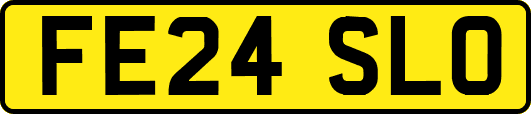 FE24SLO
