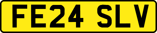 FE24SLV