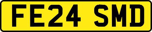 FE24SMD