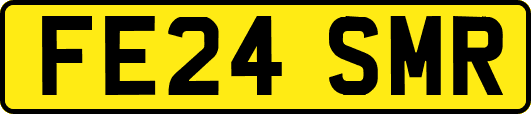 FE24SMR