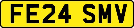 FE24SMV