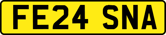 FE24SNA