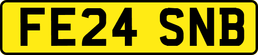 FE24SNB