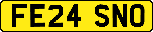 FE24SNO