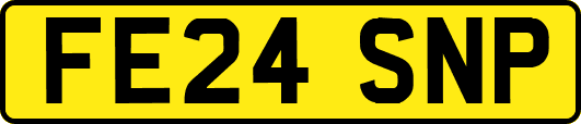 FE24SNP