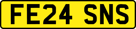 FE24SNS