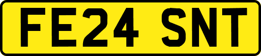 FE24SNT