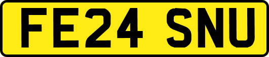 FE24SNU