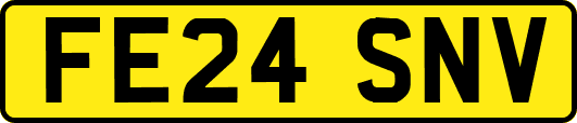 FE24SNV