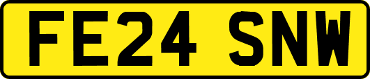FE24SNW