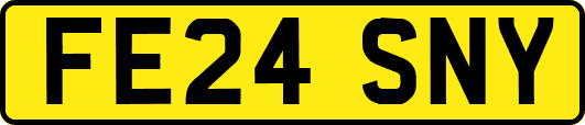 FE24SNY