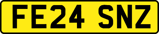 FE24SNZ